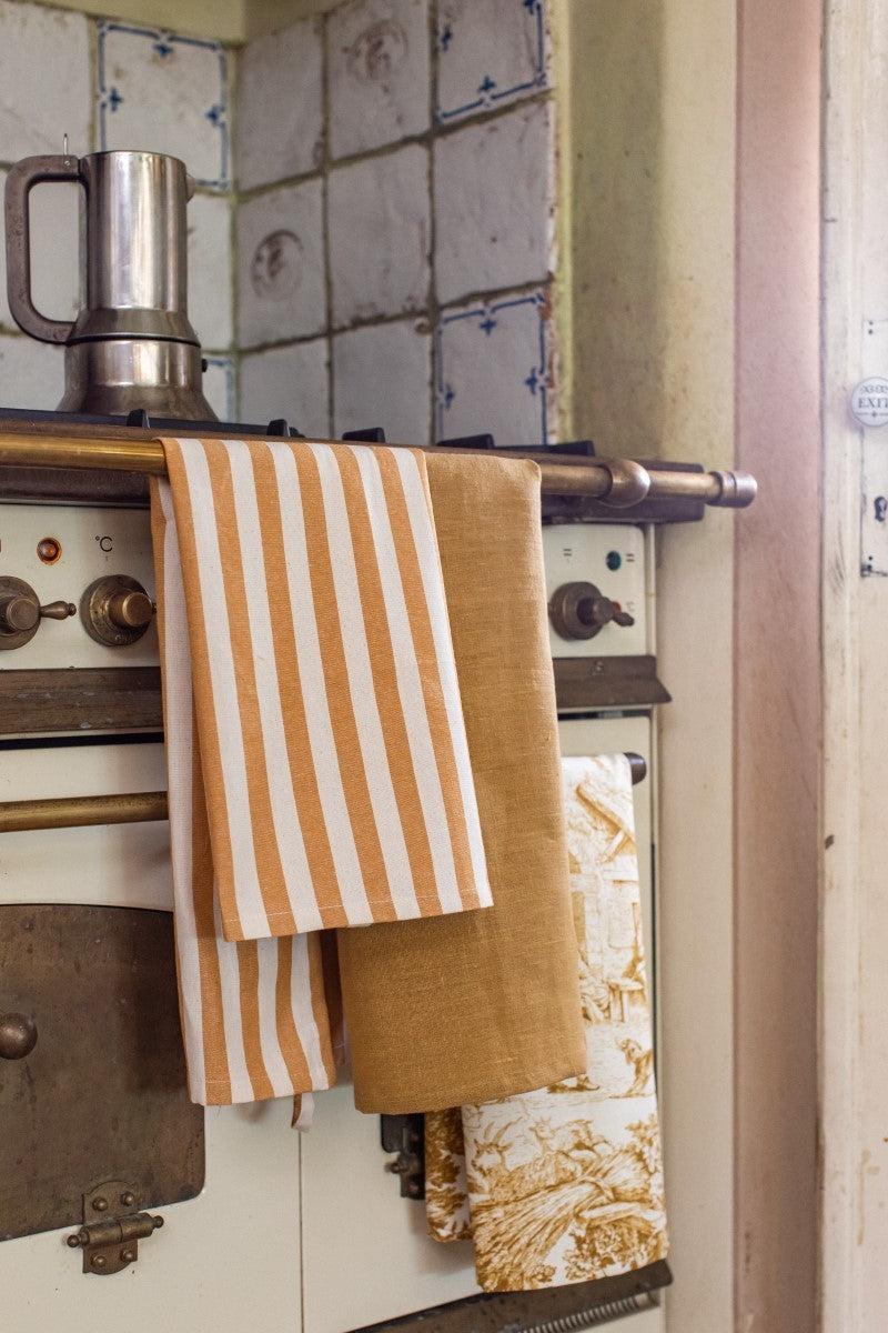 DISHCLOTHS IN TONI DEL OCRA