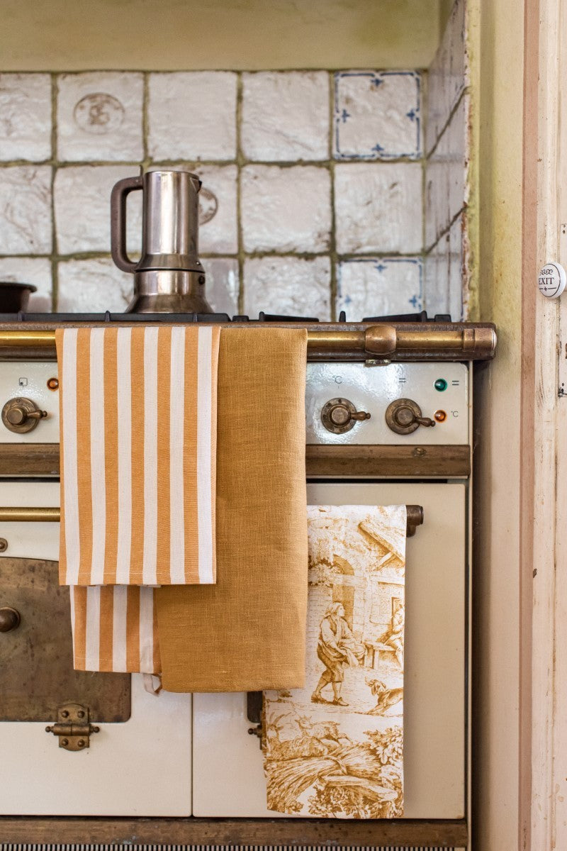 DISHCLOTHS IN TONI DEL OCRA