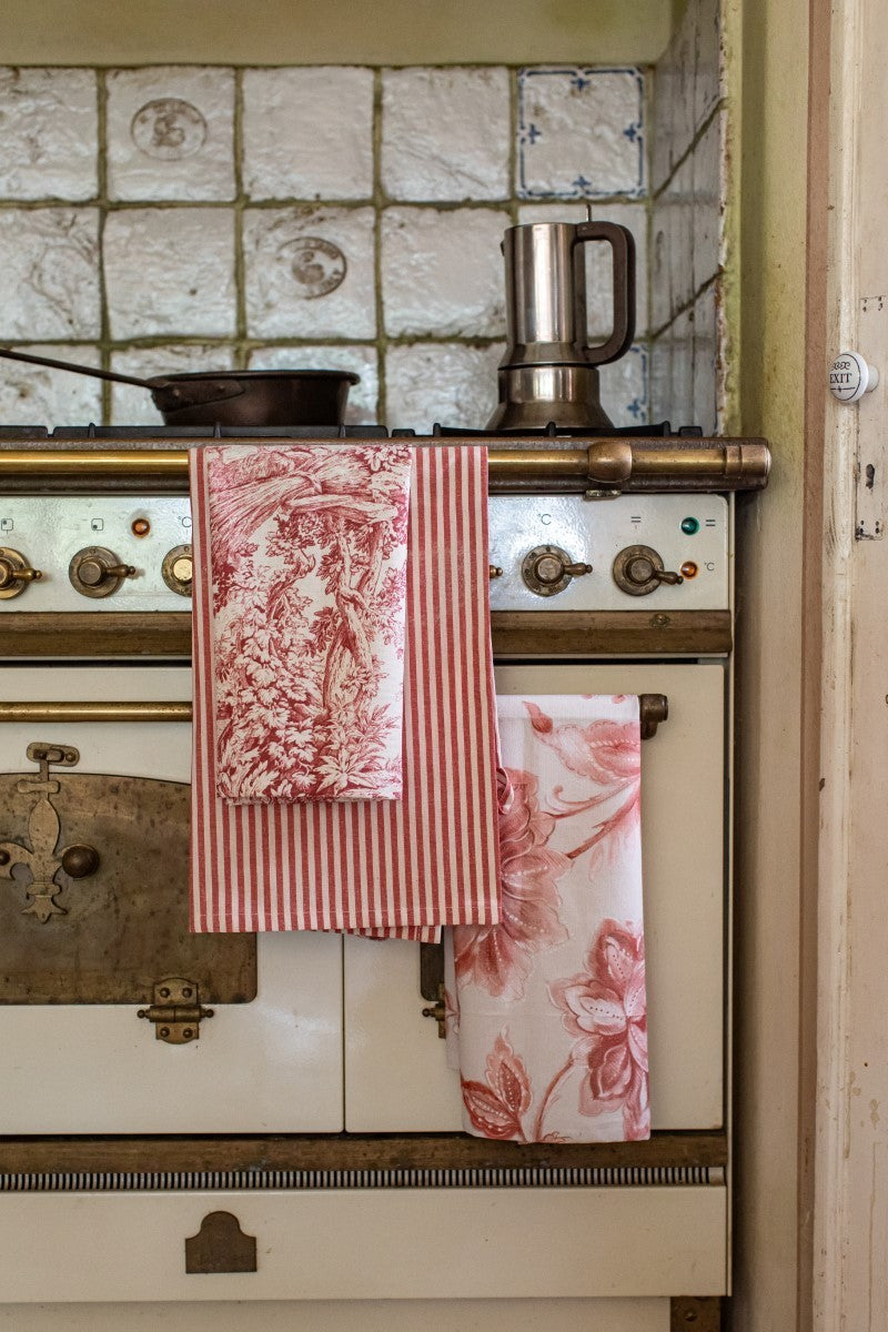 DISHCLOTHS IN TONI DEL ROSSO