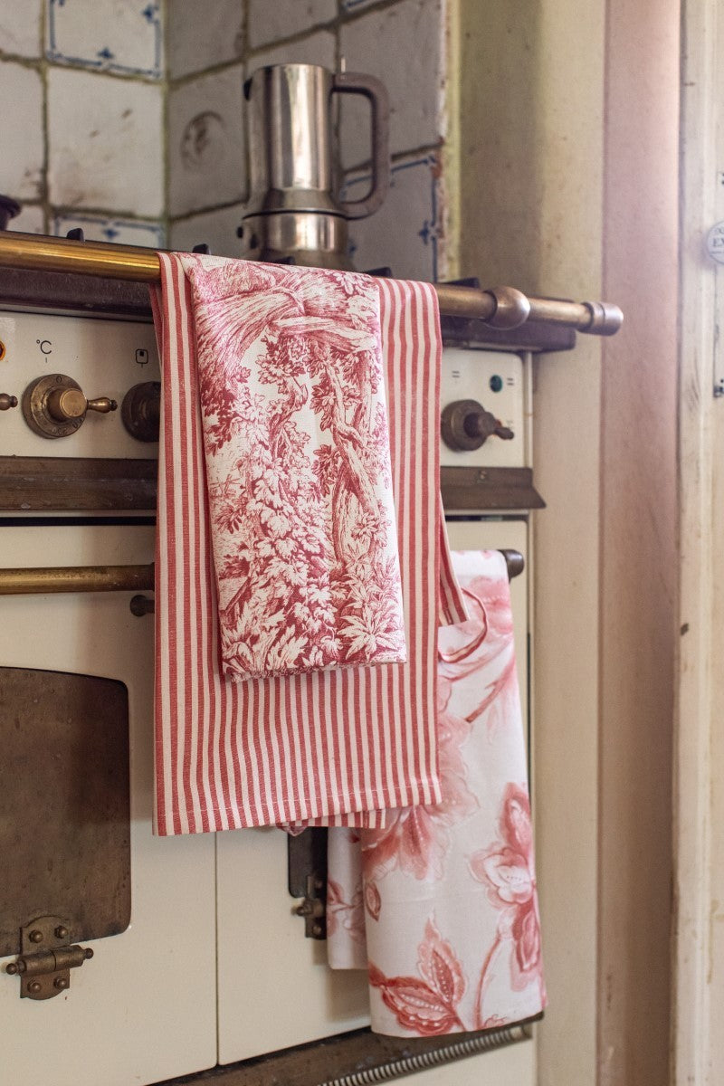 DISHCLOTHS IN TONI DEL ROSSO