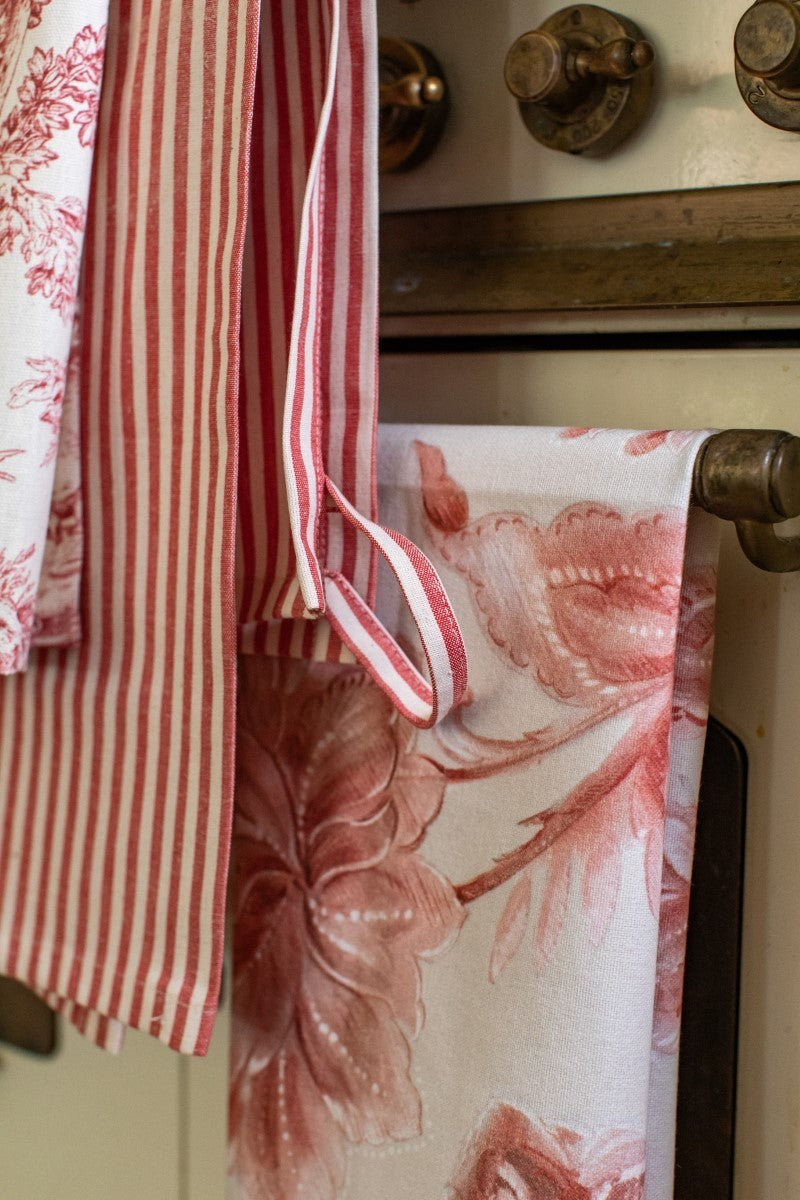 DISHCLOTHS IN TONI DEL ROSSO