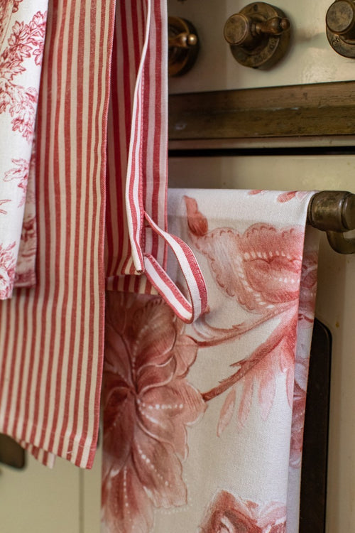 DISHCLOTHS IN TONI DEL ROSSO